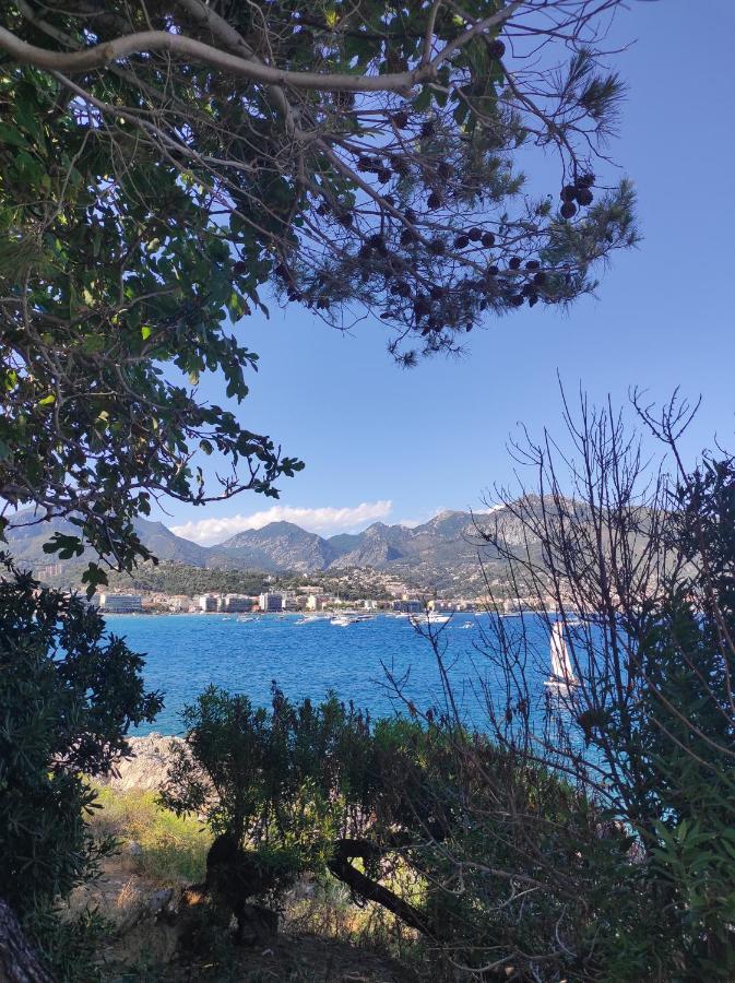 Dolce-vita 3 Etoiles, Climatise , 50m De La Et Aux Portes De Menton ,parking Gratuit Appartement